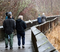 Visitors wearing jackets and hats walk a boardwalk trail