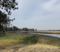 The Youth waterfowl hunt unit at Turnbull NWR looking east across mud flats and water.