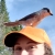 Helen Manning, contracted biological technician and refuge volunteer at Rachel Carson National Wildlife Refuge, poses with a Canada Jay perched on her bright orange hat. 