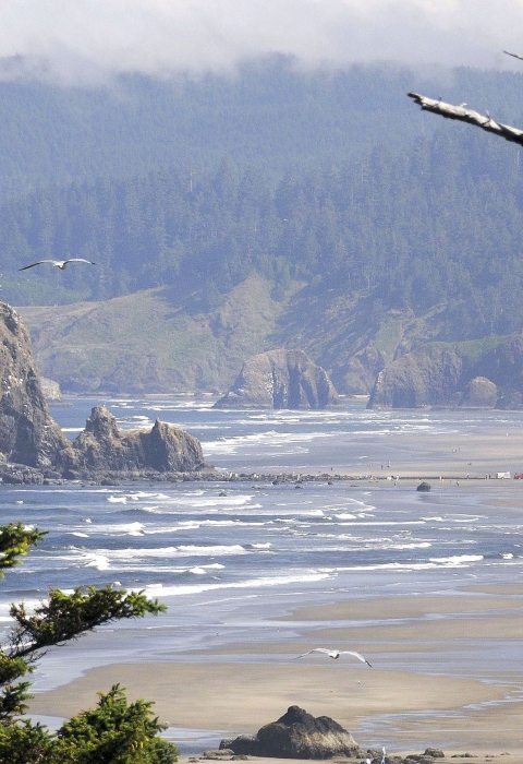 A large single rock outcropping surrounded by small ocean waves coming ashore at low tide