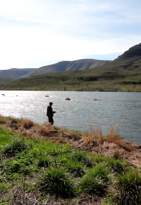 Man fishing on the banks of a river