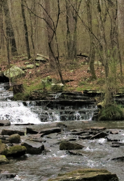 Creek and Waterfall