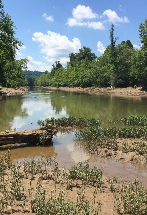 Highland Dam Removal Site on the West Fork River in West Virginia