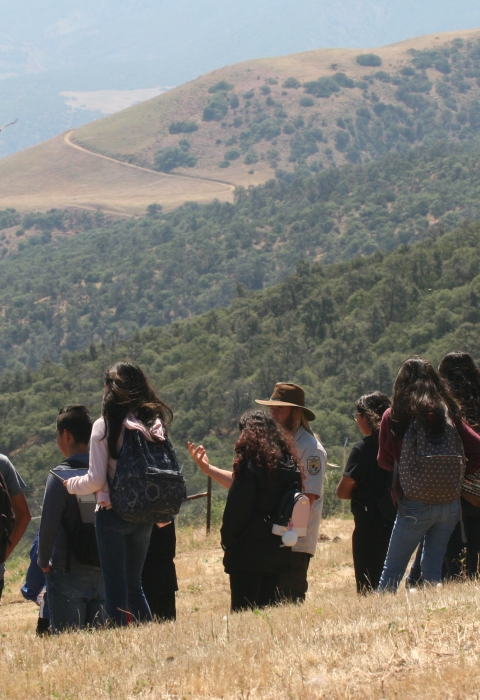 Students stand next to the corner of a flight pen with a condor perched on top. In the background are rolling hills with yellow grasses and green trees.