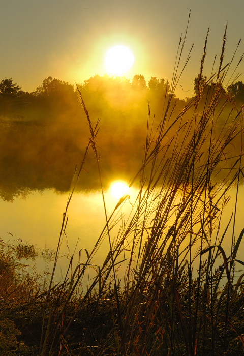 A sunrise over a pond at Occoquan Bay NWR