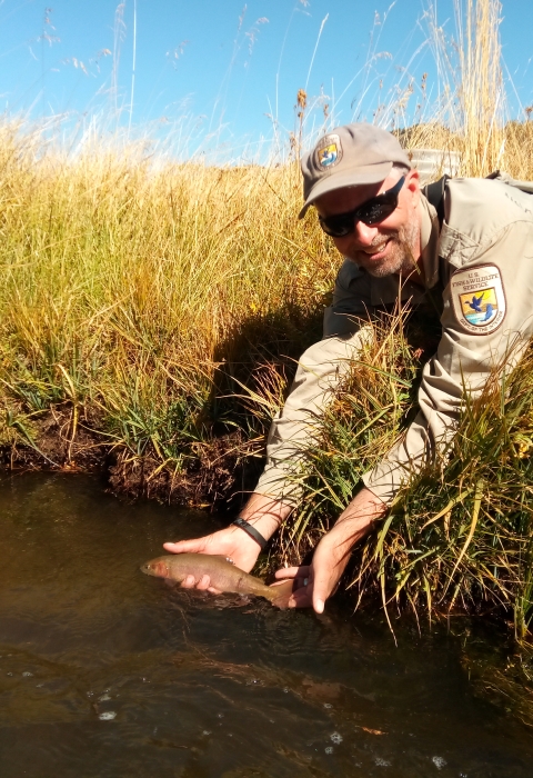 U.S. Fish and Wildlife Service biologist hold Paiute cutthroat trout over stream
