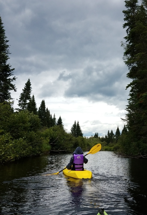 A bright yellow kayak glides through on a glass-smooth river surrounded by towering evergreen trees. In the distance ominous clouds hover in a clearing sky on the horizon. 