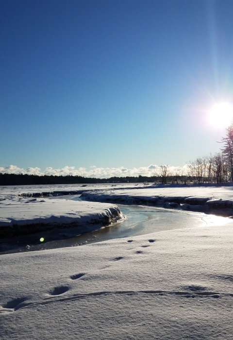 Footprints in the snow to the river that meanders through the salt marsh at Rachel Carson National Wildlife Refuge. The sun hangs low in the sky on the horizon and ice crystals reflect the beams in fractured light. 