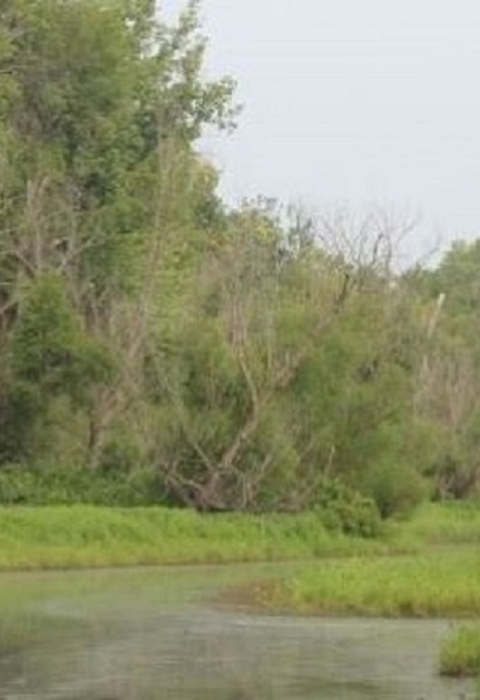 The landscape of Delair Division at Great River National Wildlife Refuge