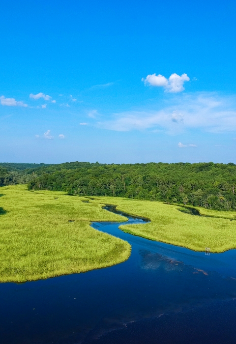 The bright blue water belonging to Cat Point Creek weaves through vivid green wetlands