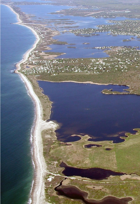 Aerial view of an undeveloped coastal freshwater pond.