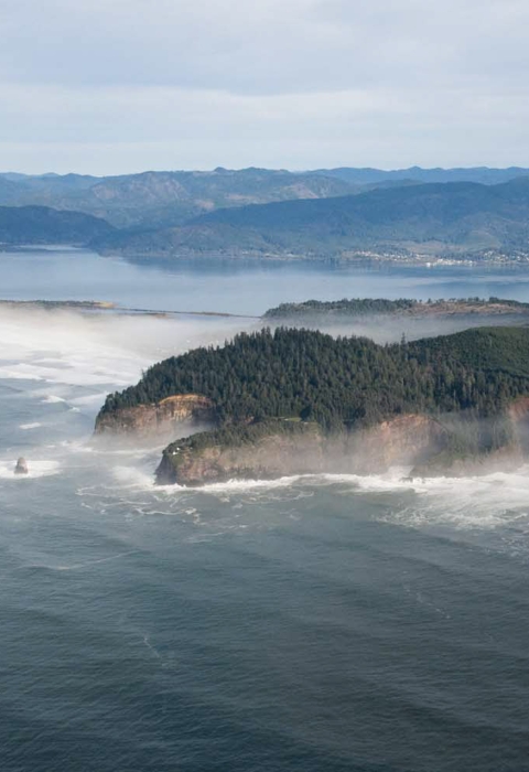 Aerial view of a forested, fog-shrouded cape jutting out into the Pacific with a large bay in the background