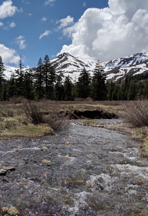 a shallow mountain stream rushes through dry grasses with snow-capped mountains in the distance