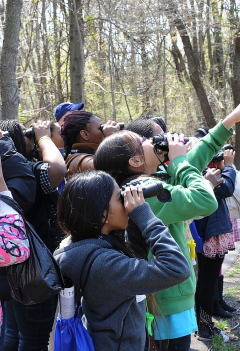 Students birdwatching
