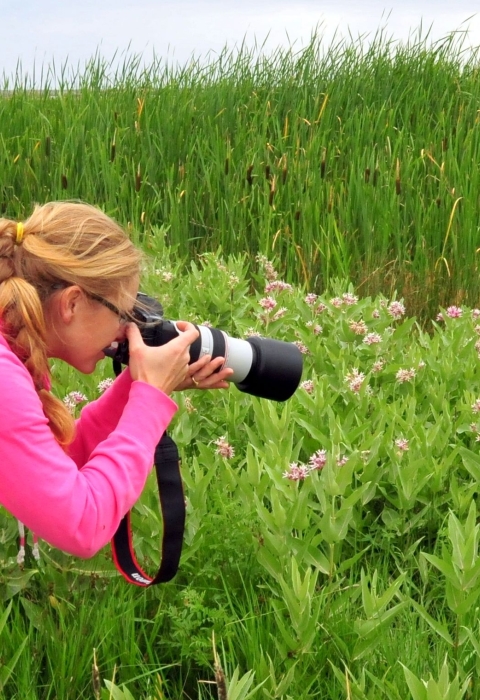 A woman crouching down to take a photo of pinkish wildflowers