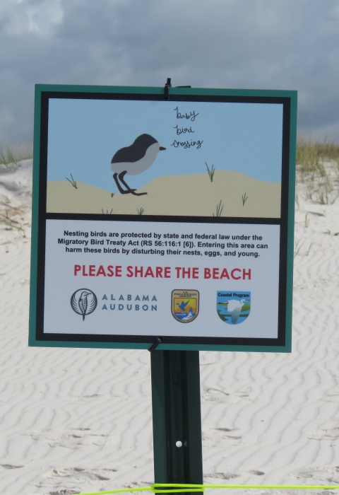 Sand dunes provide habitat for Alabama beach mice, nesting sea turtles and shore birds