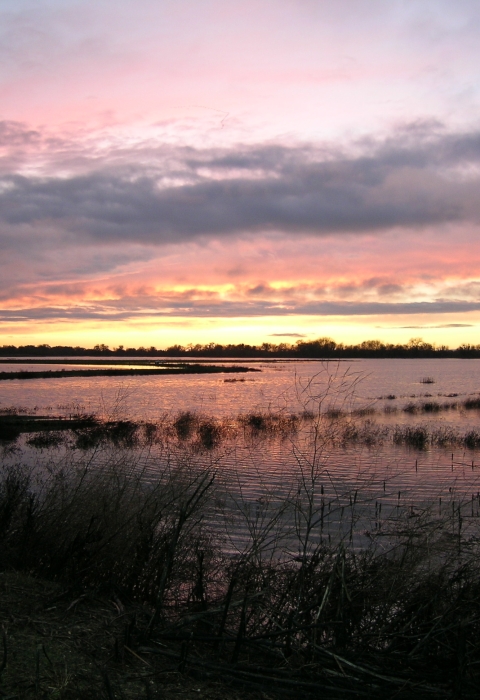 Sunset on seasonal wetland at Stone Lakes National Wildlife Refuge