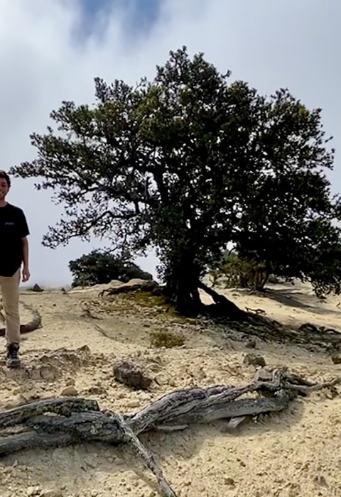 A man standing on a hill near a tree