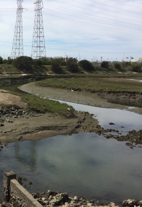 Marsh during low tide. Power lines in the foreground.