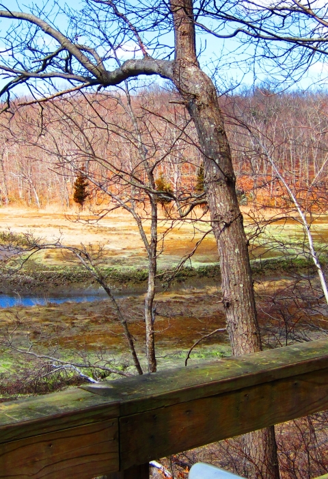 A viewing platform with spotting scope overlooks the Salt Meadow Unit's marsh in fall, Westbrook