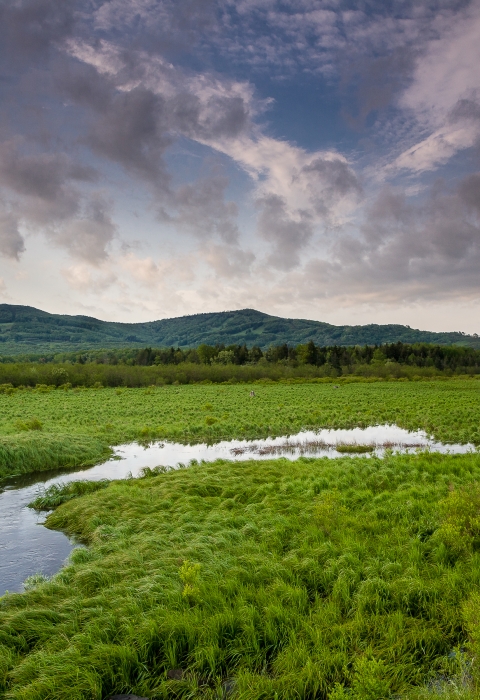 Stream flowing through Canaan Valley with mountains in the back drop