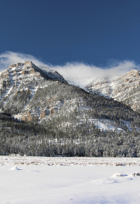 Winter's snow blankets the mountains and valley floor under bright blue skies at Red Rock Lakes National Wildlife Refuge
