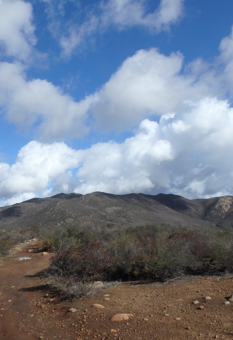 Mountain top with coastal sage scrub and a cloudy sky.