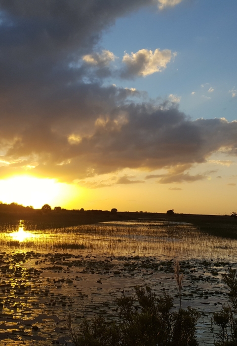 Sunset in the C Impoundments at A.R.M. Loxahatchee NWR