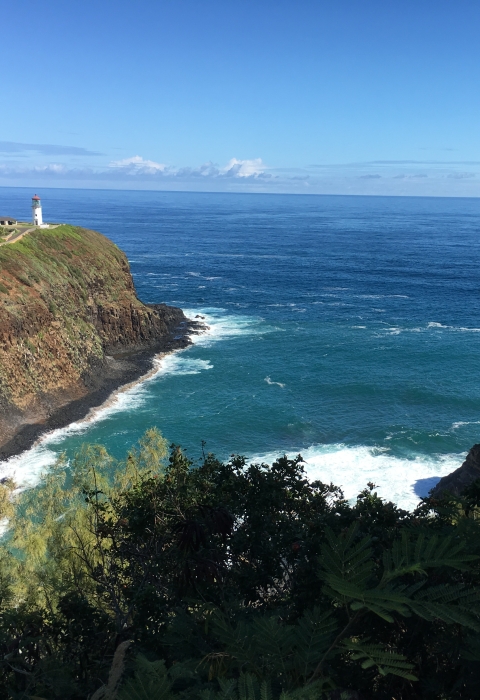 Kiluea Point National Wildlife Refuge lighthouse sits on a point. The photo shows a narrow inlet where the blue waters of the Pacific meet the high cliff faces of the refuge. Blue sky gleams in the back with contrast against the bright green of the forest. 