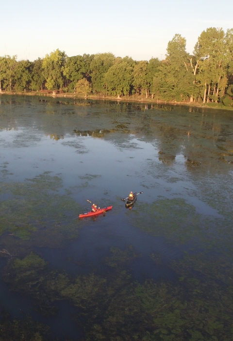 Aerial view looking down on two kayakers in a marsh with lots of green aquatic vegetation on surface, green forest in background