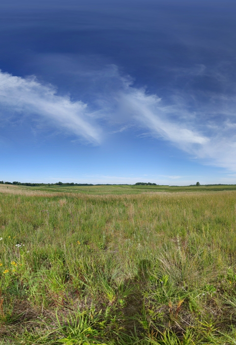 Panoramic view of Pauley Waterfowl Production Area, Minnesota Valley Wetland Management District. Wispy clouds are present in the blue sky over the prairie, containing green grasses. White and yellow flowers are present in the foreground.