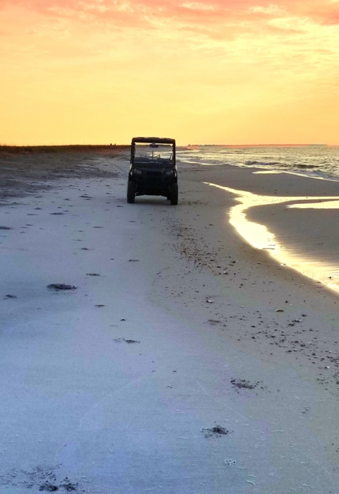A bright orange sunrise looking down a coastal beach with a silhouette recording data from the dunes, and a golf cart midway between the silhouette and the surf