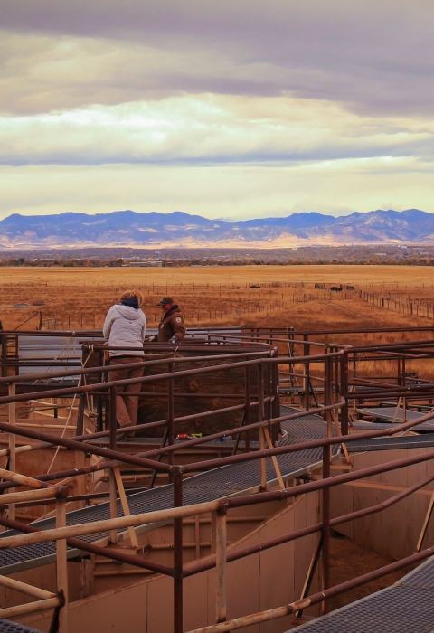 people stand on a corral in front of the Rocky Mountains mountain range