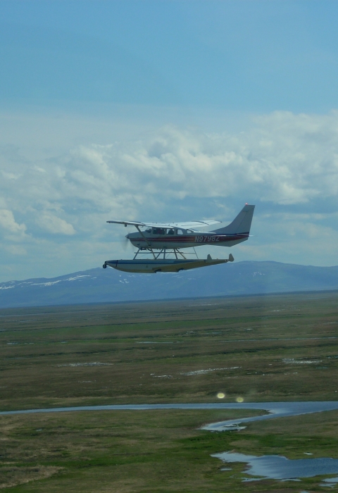 Airplane of floats flying above the tundra of Alaska
