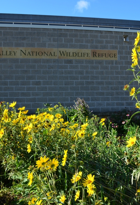 Pollinator garden outside the Bloomington Education and Visitor Center