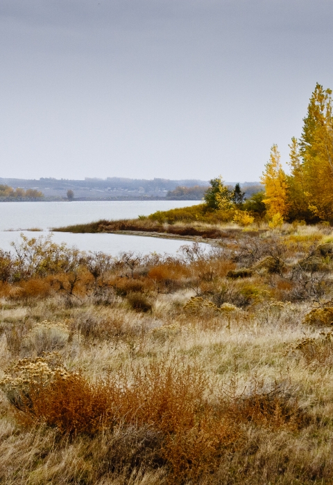 Fall afternoon view of Umatilla NWR wetlands