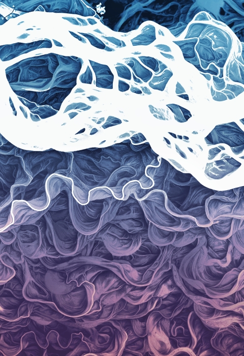 aerial view of a braided river