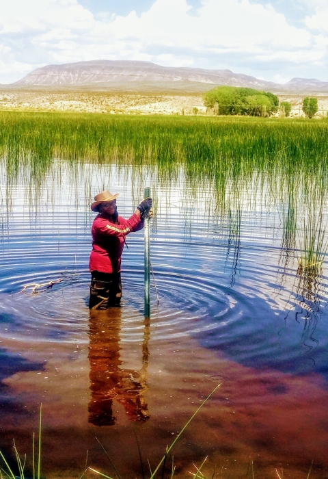 A woman stands in a pond holding what looks like a stick or gauge.