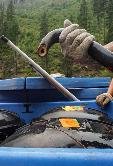 A lamprey is held by two gloved hands above transportation tanks.