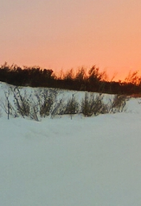 A long view of a snowy field with the bright yellow sun shining just at the horizon