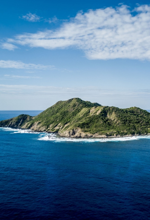 A mountainous island covered in green vegetation emerges from bright blue water
