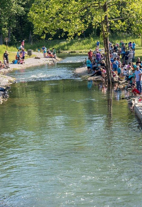 Throngs of people gathered along the banks of a creek