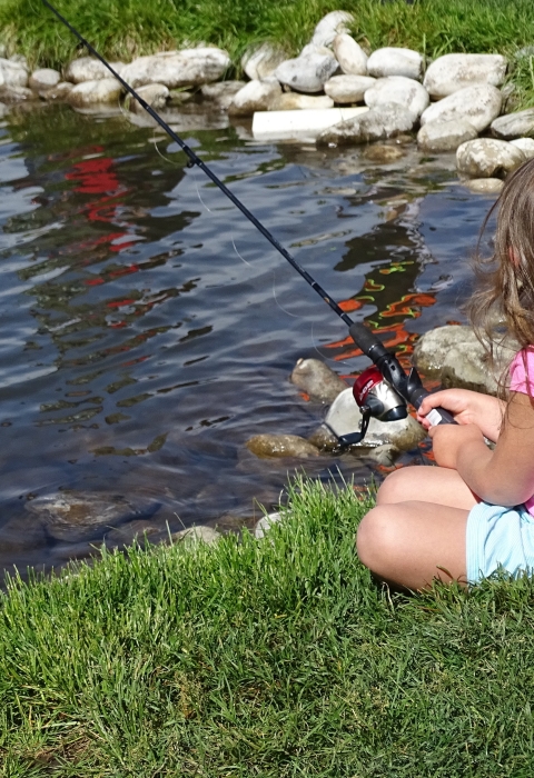 A young person fishing from the bank of a pond