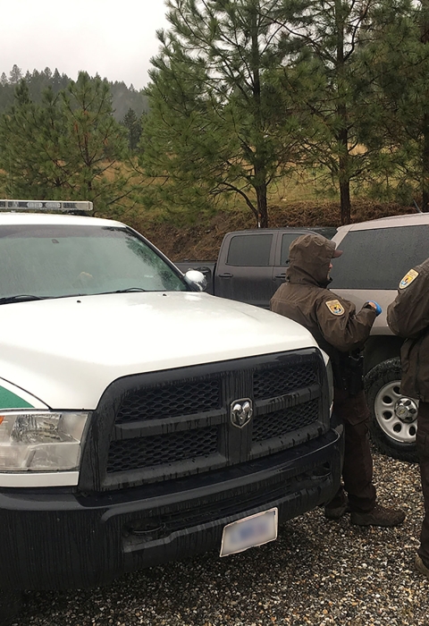 FWS Patrol Captain Kelly Knutson, a Federal Wildlife Officer, and a U.S. Forest Service agent worked together on the firewood case. 