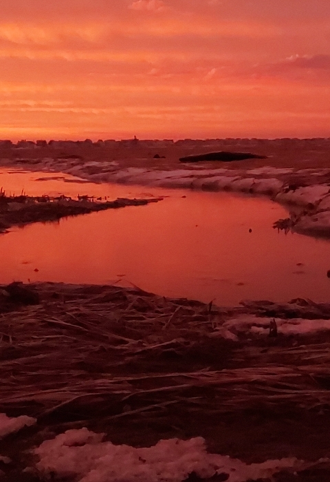A colorful coastal sunrise over the marsh lights up the sky and reflects of the frozen landscape