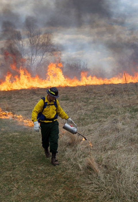 Fire crew setting fire to the field for a prescribed fire