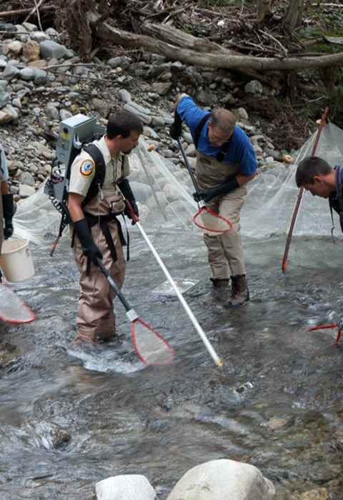 men in stream with electrofishing equipment