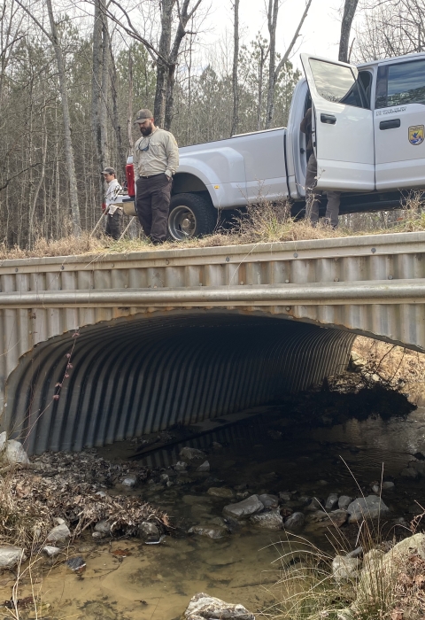 Service biologists examine the arched bottomless culvert at Smith Creek in Calhoun County, Mississippi.