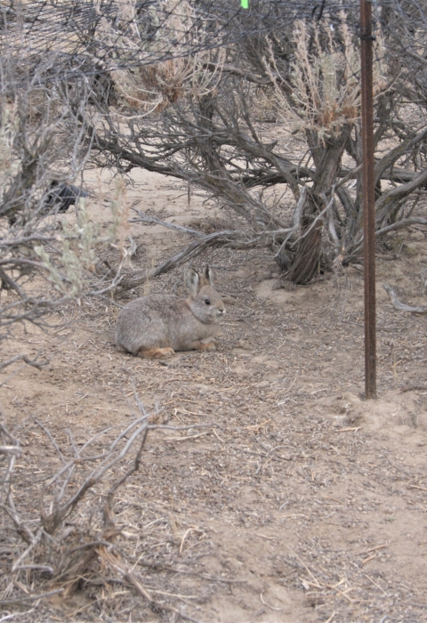 State Wildlife Grants | U.S. Fish & Wildlife Service