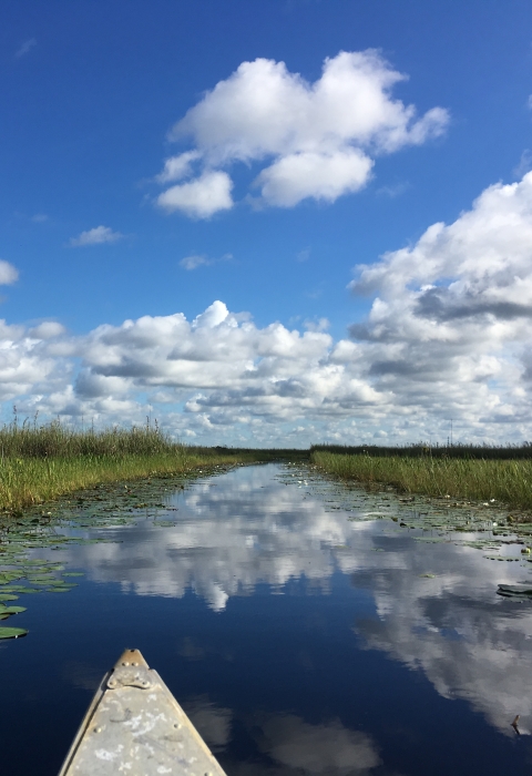 The bow of a canoe glides across calm waters with blue skies and puffy white clouds reflecting off the canoe trail at Arthur R. Marshall Loxahatchee National Wildlife Refuge.